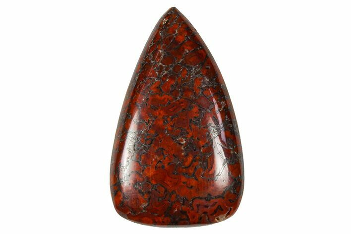 Polished Dinosaur Bone (Gembone) Cabochon - Colorado #370770